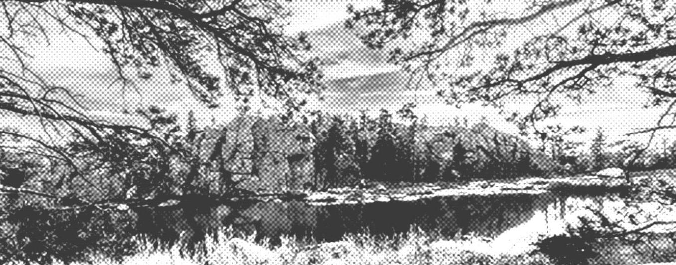 trees and lake B&W halftone